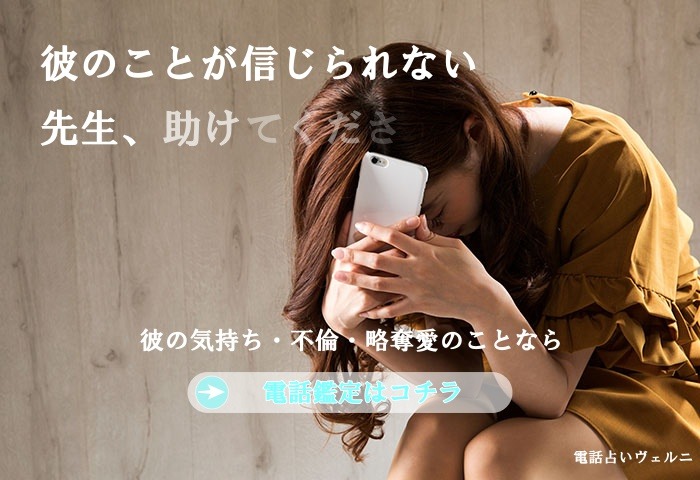ヴェルニの詳細説明用スクリーンショット1